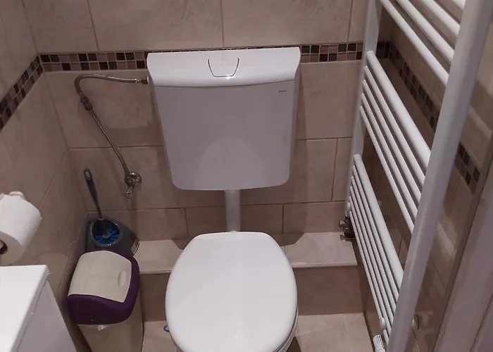 Zana Apartman *